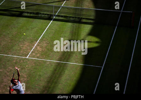 Roger Federer sert lors de la finale du 2013 Gerry Weber Open à Halle (Westfalen), Allemagne. Banque D'Images