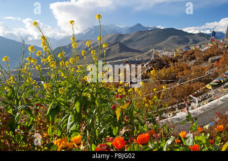 Muktinath, Népal Banque D'Images