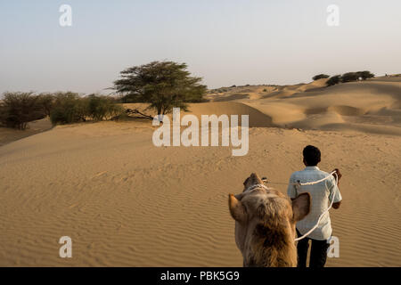 Safari à dos de chameau dans le parc national du désert Jaisalmer -Inde Rajastan juin 2018. La tête de chameau et son guide marchent dans le désert. Vue de dessus Banque D'Images