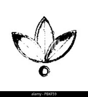 Henryk 755 Sienkiewicz-Humoreski Worszyłły 250 z teki str Banque D'Images