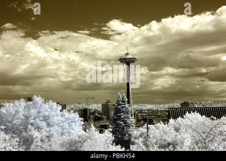 Voir l'espace de l'aiguille de la Reine Anne, quartier de Seattle. Banque D'Images