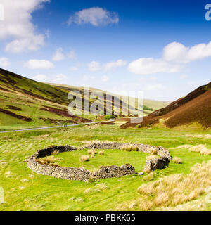 Un mur en pierre sèche traditionnels moutons enceinte figure parmi les pâturages dans une vallée de la remote Moorfoot Hills dans le sud de l'Ecosse Upl Banque D'Images