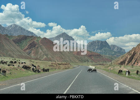 Décor en route vers la route du Pamir, Sary Tash, Kirghizistan Banque D'Images