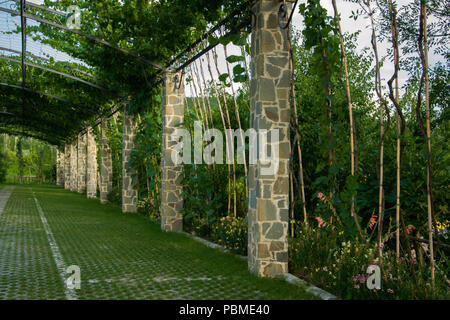 Pergola arche de jardin - dans un jardin/parc couvert de vignes grimpantes Banque D'Images