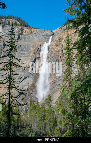 Les chutes Takakkaw, dans le parc national Yoho, Colombie-Britannique, Canada Banque D'Images