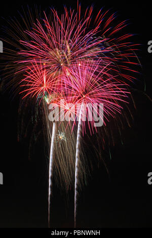 Peinture d'artifice le ciel au dessus de la base de la formation de forces interarmées, Los Alamitos, Californie, le 4 juillet 2018. Les partenaires d'installation avec les communautés locales pour présenter le 4 juillet annuel de la communauté d'artifice spectaculaire. Les presque 5 heures et les fournisseurs recommandés affiche militaire, des représentations musicales, et a abouti à un spectacle de 25 minutes de jeu de la musique patriotique. (U.S. Photo de la Garde nationale aérienne Aviateur Senior Housman Crystal) Banque D'Images