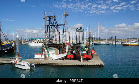 Les bateaux de pêche. Ancrée sur les pontons par Oiseaux Poissons Bar à Bowen, Queensland, Australie Banque D'Images