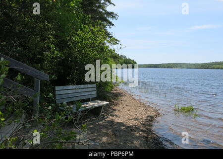 Le parc provincial du lac Lochiel fournit des tables de pique-nique dans les bois et un abri sur place au bord du lac pour profiter des sentiers de randonnée, la navigation de plaisance et natation Banque D'Images