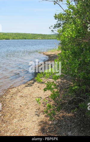 Le parc provincial du lac Lochiel fournit des tables de pique-nique dans les bois et un abri sur place au bord du lac pour profiter des sentiers de randonnée, la navigation de plaisance et natation Banque D'Images