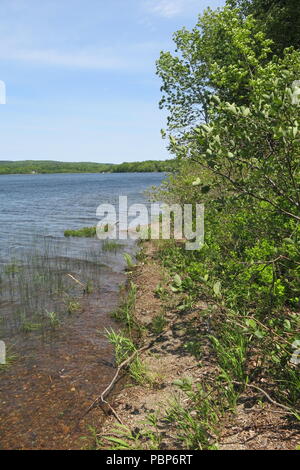 Le parc provincial du lac Lochiel fournit des tables de pique-nique dans les bois et un abri sur place au bord du lac pour profiter des sentiers de randonnée, la navigation de plaisance et natation Banque D'Images