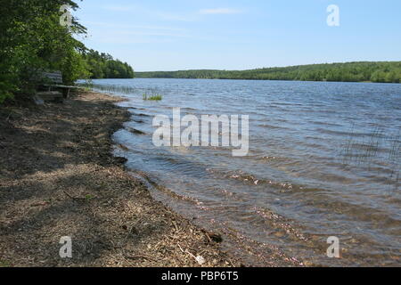 Le parc provincial du lac Lochiel fournit des tables de pique-nique dans les bois et un abri sur place au bord du lac pour profiter des sentiers de randonnée, la navigation de plaisance et natation Banque D'Images