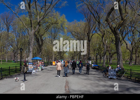 Printemps promenade dans le Mall dans Central Park, New York, USA Banque D'Images