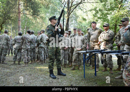 Réserve de l'armée allemande la FPC. Phillip Mueller, centre, explique le G36 d'un fusil à des soldats américains avec le 18e Bataillon de soutien au maintien en puissance de combat au cours d'une formation sur les armes allemandes, la familiarisation et l'épreuve de qualification pour démontrer l'interopérabilité et de renforcer le partenariat de la cohésion sociale à la 7e Armée, le commandement de l'aire d'entraînement Grafenwoehr, Allemagne, le 20 juillet 2018. (U.S. Photo de l'armée par Gertrud Zach) Banque D'Images