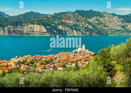 Station touristique spectaculaire Malcesine et plantation olive majestueux avec en arrière-plan du Lac de Garde, Italie, Europe Banque D'Images