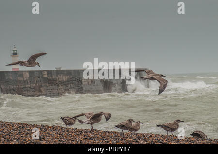 Newlaven, East Sussex, UK..29 juillet 2018..UN changement rafraîchissant dans le temps aussi fort vent du SW, avec une pluie très bienvenue, fouets au large de la mer au large de la côte sud... Banque D'Images