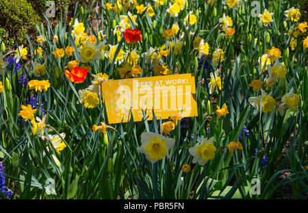 Les abeilles au travail signe près d'une ruche à Bryant Park, New York, USA Banque D'Images