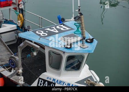 Le Guillemot à miroir (Cepphus grylle) perché sur bateau de pêche dans le port de Stranraer. Dumfries et Galloway. L'Écosse. Banque D'Images