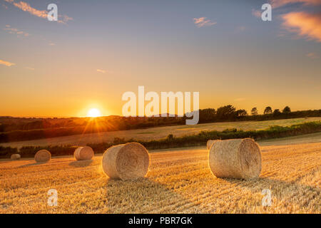 UK - Après une journée avec refroidisseur de nuages et quelques averses, le soleil se couche dans un ciel clair sur un champ de blé récolté récemment près de dans Melplash Banque D'Images