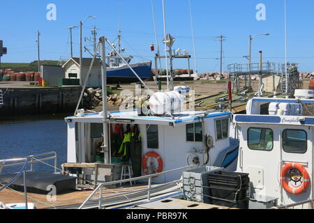 Vue sur les bateaux de pêche dans le havre de Chéticamp, un joli village de pêcheurs sur la Piste Cabot, rive ouest de l'île du Cap-Breton, Nouvelle-Écosse Banque D'Images