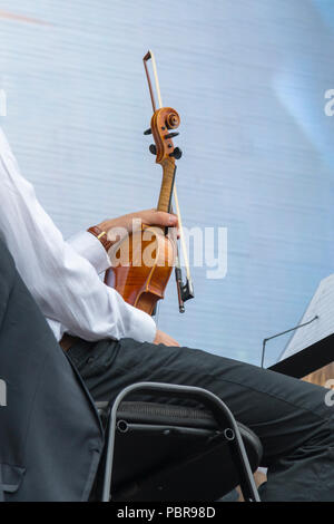 Jeune homme avec un violon. Banque D'Images