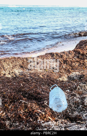 Une bouteille en plastique vide sur la plage au Cayman Island Banque D'Images