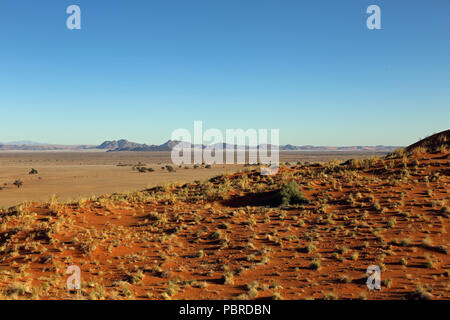 Une vue du haut de la dune Elim dans le Namib-Naukluft National Park, la Namibie. Banque D'Images