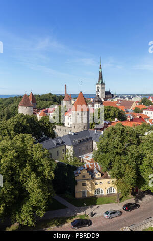 Les murs de la ville" et de l'Olaf (ou St Olav's) les tours de l'église et autres bâtiments de la vieille ville de Tallinn, Estonie, en vue d'au-dessus de l'été. Banque D'Images