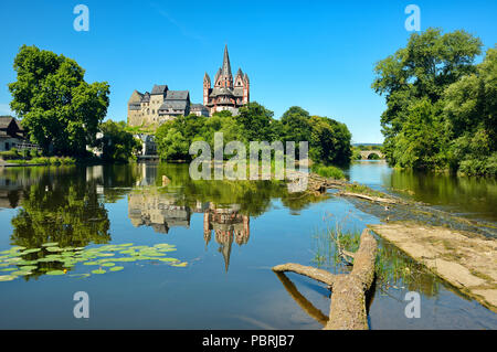 Limburg Cathédrale St Georg ou St George's Cathedral et Château de Limbourg sur la rivière Lahn, Weir avec driftwood Banque D'Images