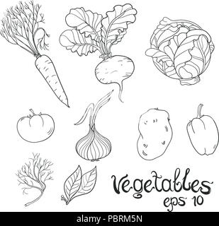 Légumes à la main. Collection de croquis de l'alimentation. Vector illustration Illustration de Vecteur