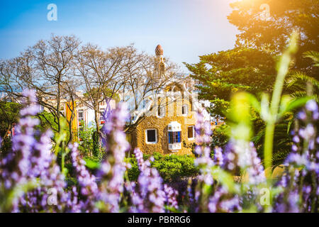 Maison de conte dans le Parc Guell. Violet fleurs luxuriantes lavendel au premier plan. L'emplacement célèbre coucher de soleil. week-end d'été situé sur la Colline du Carmel, Barcelone, Espagne Banque D'Images