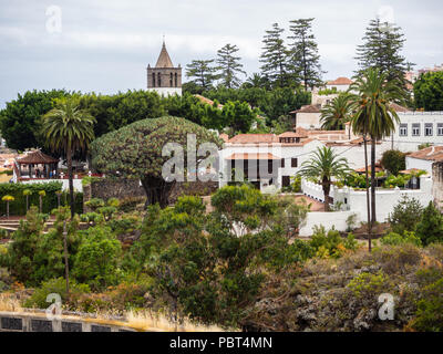 Vue d'un jardin botanique et un célèbre arbre millénaire Drago à Icod de los VInos, Tenerife, Îles Canaries Banque D'Images