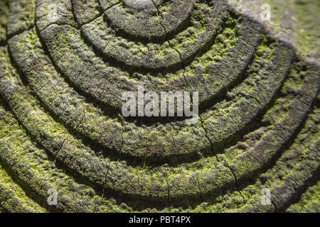 Effet d'ombre du soleil sur les anneaux d'un poteau d'escrime. Métaphore possible cercles concentriques, cercle intérieur, texture radiale. Banque D'Images