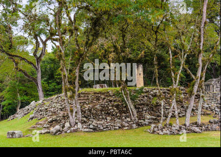 Ruines Maya de Copan, un site archéologique de la civilisation Maya, Honduras Banque D'Images
