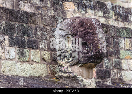 Les glyphes mayas de ruines de Copan, UNESCO World Heritage Site, Honduras, Amérique Centrale Banque D'Images