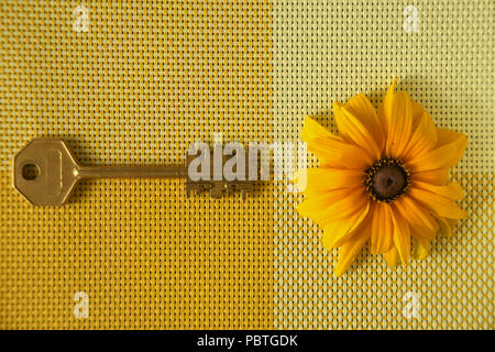 Tournesol jaune laiton et touche sur deux tons de jaune tissé textile placées côte à côte sur des couleurs différentes dans un contexte non encore la vie. Selectiv Banque D'Images