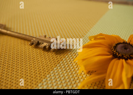 Tournesol jaune laiton et touche sur deux tons de jaune tissé textile placées côte à côte sur des couleurs différentes dans un contexte non encore la vie. Selectiv Banque D'Images