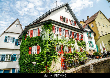 Couvert de lierre et de l'hôtel restaurant Schlossberg sur toutes les notes Strasse à Nurtingen, tradiitional Berer bavarois Keller dans le sud de l'Allemagne Banque D'Images