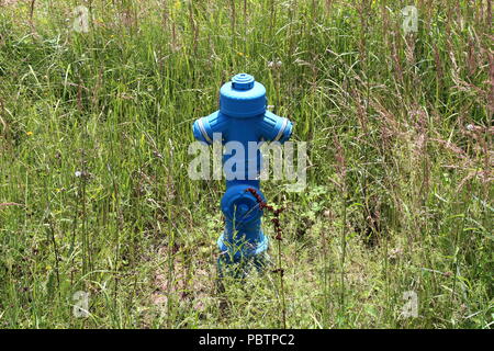 Blue metal poteau incendie complètement entouré avec de grands frais et séché l'herbe non coupée et autre végétation sur la journée d'été ensoleillée plus froid Banque D'Images