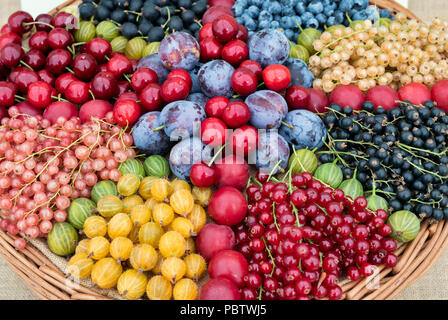 Sélection de fruits dans un panier sur l'affichage à Tatton Park RHS Flower show 2018, Cheshire. UK Banque D'Images