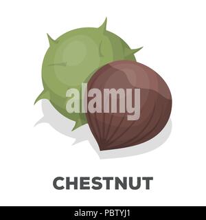 Chestnut.Différents types de noix seule icône de style cartoon vector illustration web stock symbol. Illustration de Vecteur