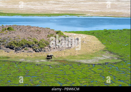 Paysage de savane avec River dans le parc national du Kenya, Afrique Banque D'Images