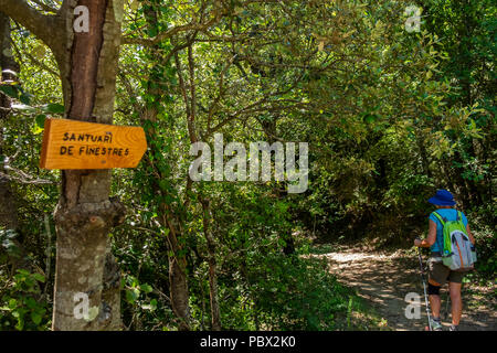 Randonneur femme marche sur le chemin à travers la forêt menant au sanctuaire de Santa Maria de Finestres près de Santa Pau, Catalogne, Espagne Banque D'Images