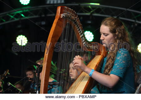 Harpiste au Fleadh Cheoil à Sligo, Irlande Banque D'Images