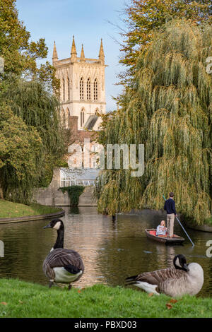 Les visiteurs de Cambridge en plates sur la rivière Cam à Cambridge, en Angleterre, UK. Banque D'Images