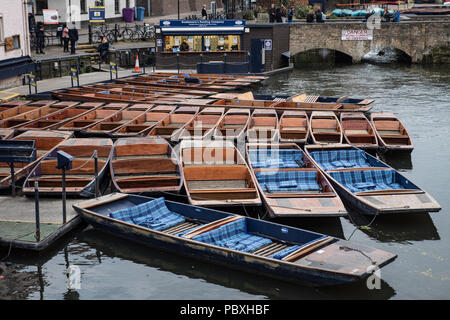 Plates à Scudamore &'s Mill Lane Station en barque sur la rivière Cam Cambridge Angleterre UK Banque D'Images
