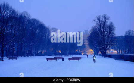 Belgique : Bruxelles couvertes de neige. Quelqu'un faire du vélo dans le "Parc du Cinquantenaire" (Le Français pour Parc du Cinquantenaire), ou le Parc du Cinquantenaire Banque D'Images