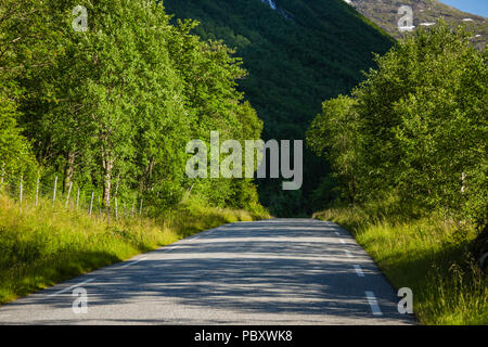 La route menant à la vallée de isterdalen Trollstigen, col, Norvège Banque D'Images