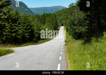 La route menant à Andalsnes de la col, vallée de isterdalen Trollstigen, Norvège Banque D'Images