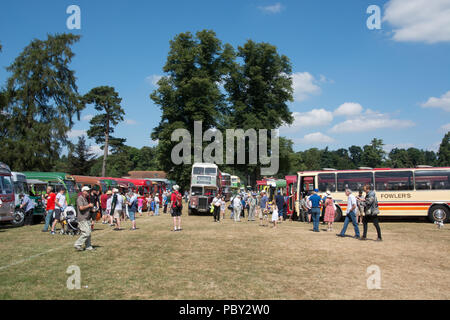 Les membres du public profitez d'une manifestation tenue à bus Anstey Park, Alton, Hampshire sur une journée ensoleillée Banque D'Images