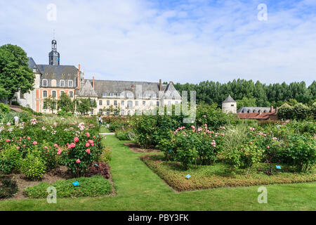 Argoules, Somme, Picardie, France, l'abbaye cistercienne de Valloires et le jardin de roses pendant la floraison rose Banque D'Images